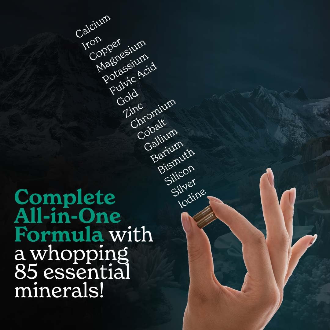 Better Alt Shilajit Sea Moss Capsules Pack of 2 with Ashwagandha & Black Pepper Extract with 85+ Essential Minerals & Antioxidants| Boosts Energy & Metabolism - 120 Servings, 240 Capsules - TrustMedUSA
