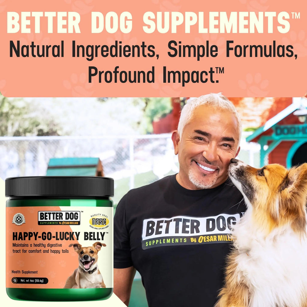 Better Dog Supplements Happy-Go-Lucky Belly by Cesar Millan - Natural Dog Digestive Support Powder – Dog Constipation Relief, Gut Balance & Regularity with Herbal Fiber for Dogs – 4oz (60-Day Supply) - TrustMedUSA