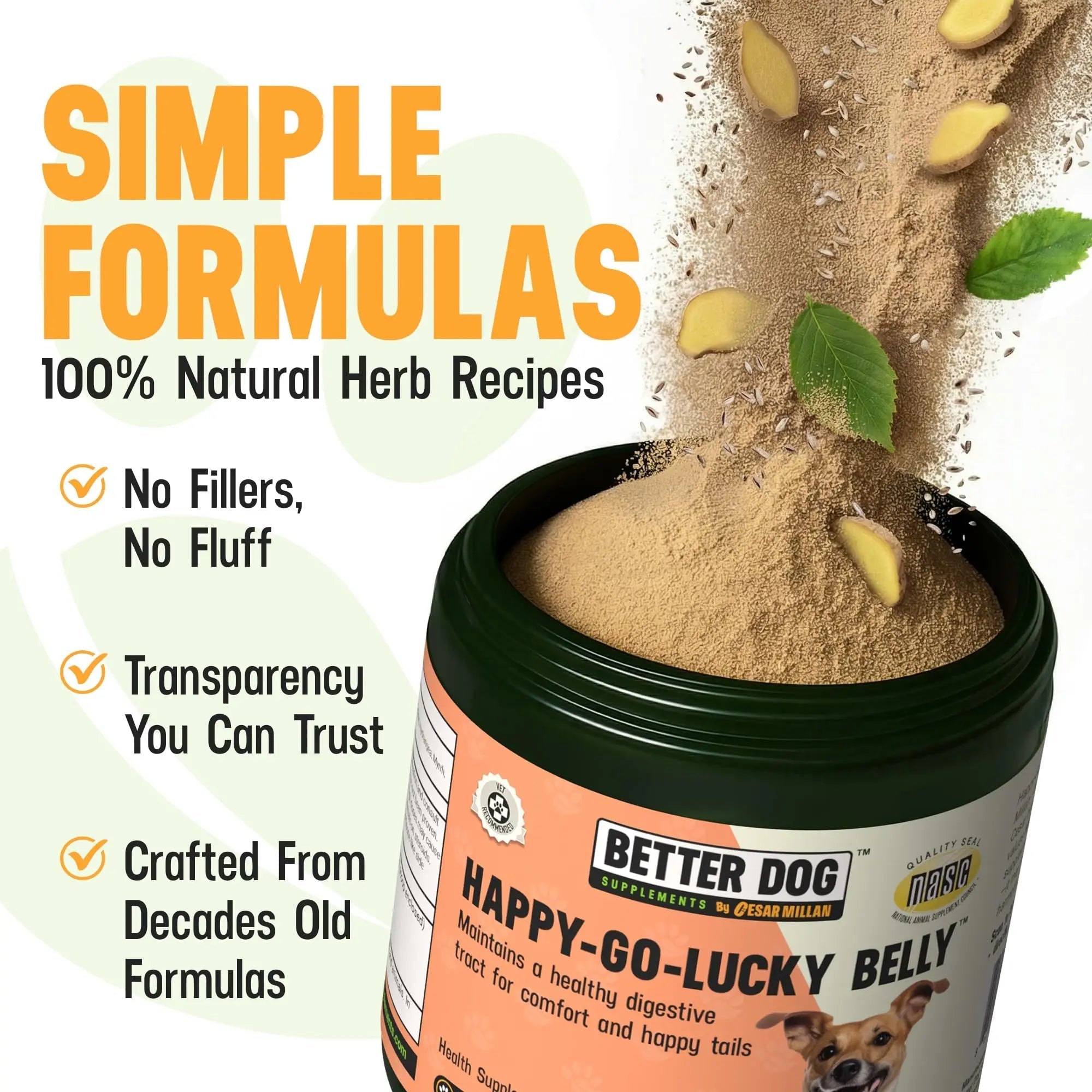 Better Dog Supplements Happy-Go-Lucky Belly by Cesar Millan - Natural Dog Digestive Support Powder – Dog Constipation Relief, Gut Balance & Regularity with Herbal Fiber for Dogs – 4oz (60-Day Supply) - TrustMedUSA