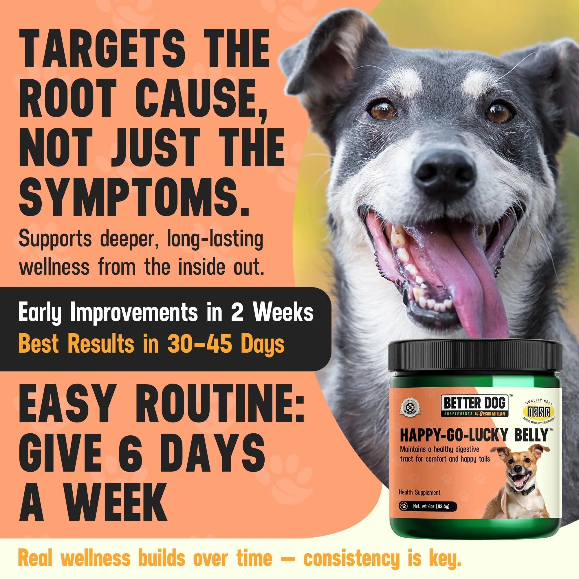 Better Dog Supplements Happy-Go-Lucky Belly by Cesar Millan - Natural Dog Digestive Support Powder – Dog Constipation Relief, Gut Balance & Regularity with Herbal Fiber for Dogs – 4oz (60-Day Supply) - TrustMedUSA