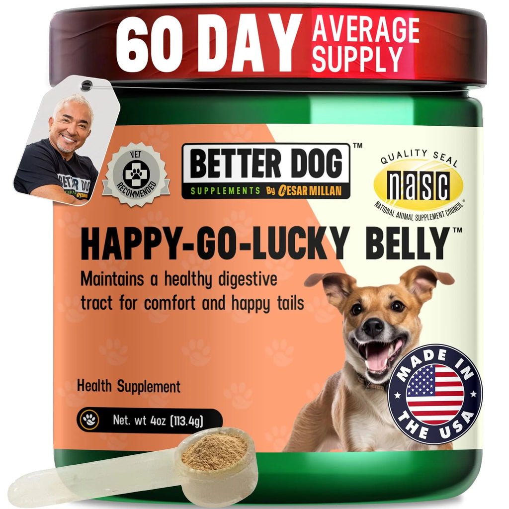 Better Dog Supplements Happy-Go-Lucky Belly by Cesar Millan - Natural Dog Digestive Support Powder – Dog Constipation Relief, Gut Balance & Regularity with Herbal Fiber for Dogs – 4oz (60-Day Supply) - TrustMedUSA