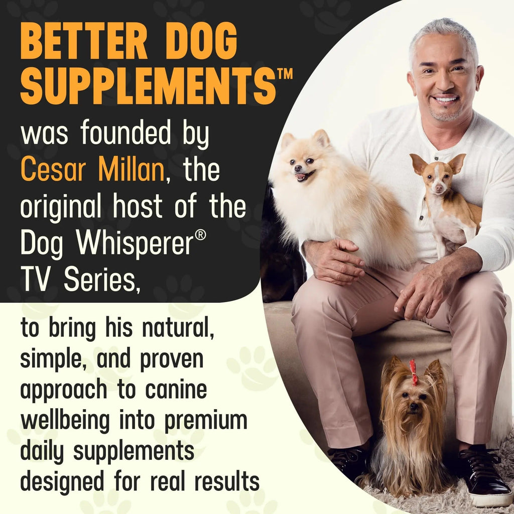 Better Dog Supplements Happy-Go-Lucky Belly by Cesar Millan - Natural Dog Digestive Support Powder – Dog Constipation Relief, Gut Balance & Regularity with Herbal Fiber for Dogs – 4oz (60-Day Supply) - TrustMedUSA