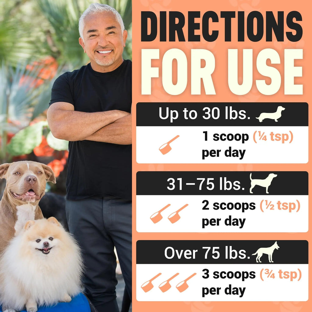 Better Dog Supplements Happy-Go-Lucky Belly by Cesar Millan - Natural Dog Digestive Support Powder – Dog Constipation Relief, Gut Balance & Regularity with Herbal Fiber for Dogs – 4oz (60-Day Supply) - TrustMedUSA