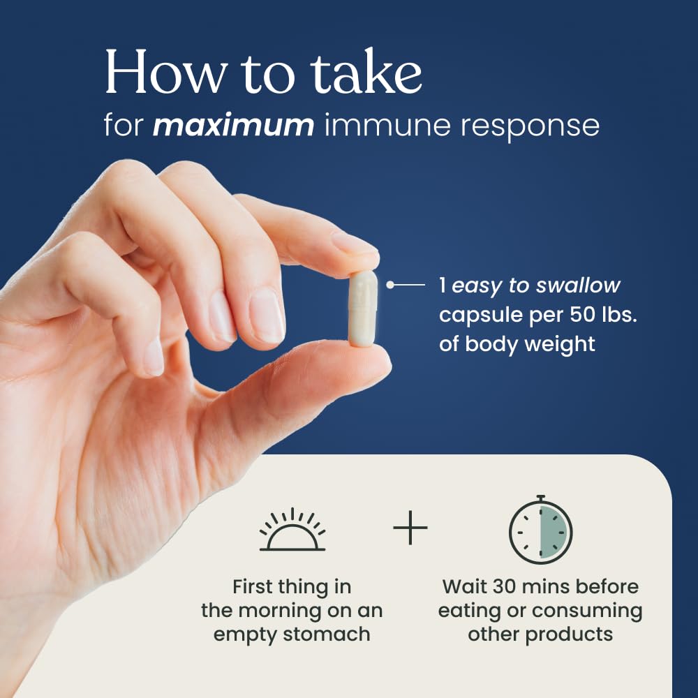 Better Way Health™ - Advanced Immune Readiness - Highly Purified 1,3/1,6 Beta Glucan 500 - Clinically Tested Immune Defense - 500mg/60 Capsules (Pack of 1) - TrustMedUSA