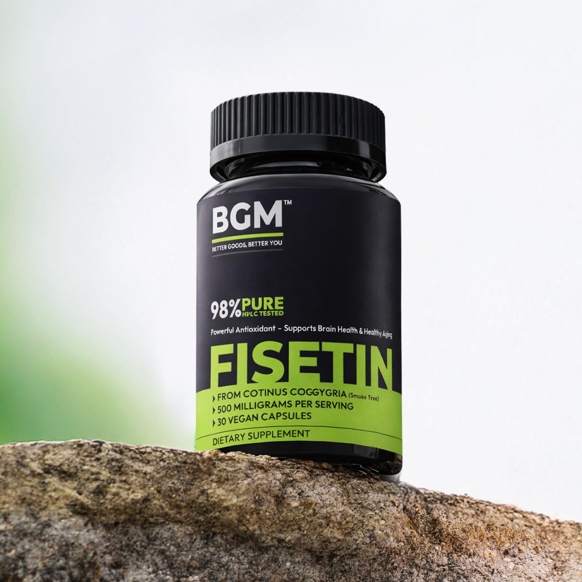 BGM Fisetin 500mg Supplement | Smoke Tree Extract (Cotinus coggygria) | 98% Pure Senolytic Antioxidant | Vegan Capsules | Supports Brain Health & Healthy Aging - TrustMedUSA