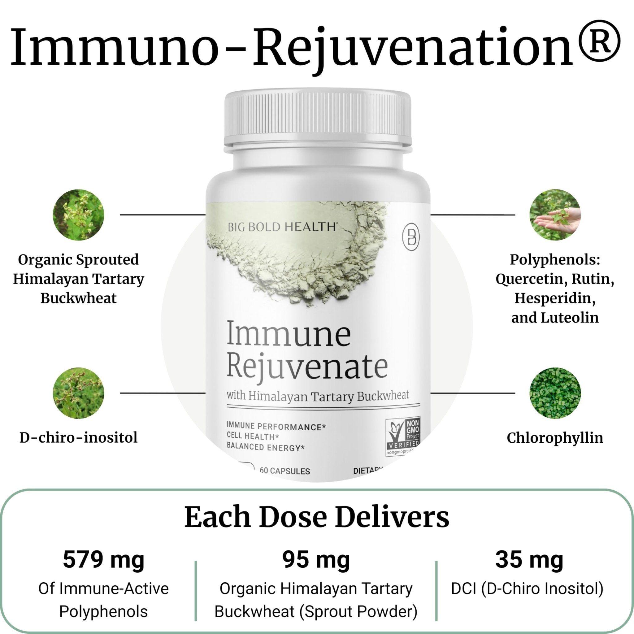 BIG BOLD HEALTH HTB Immune Rejuvenate - Polyphenols Supplement for Immune Support with Himalayan Tartary Buckwheat - Gluten Free, Dairy Free, Non-GMO Formula - 60 Vegetarian Capsules - TrustMedUSA