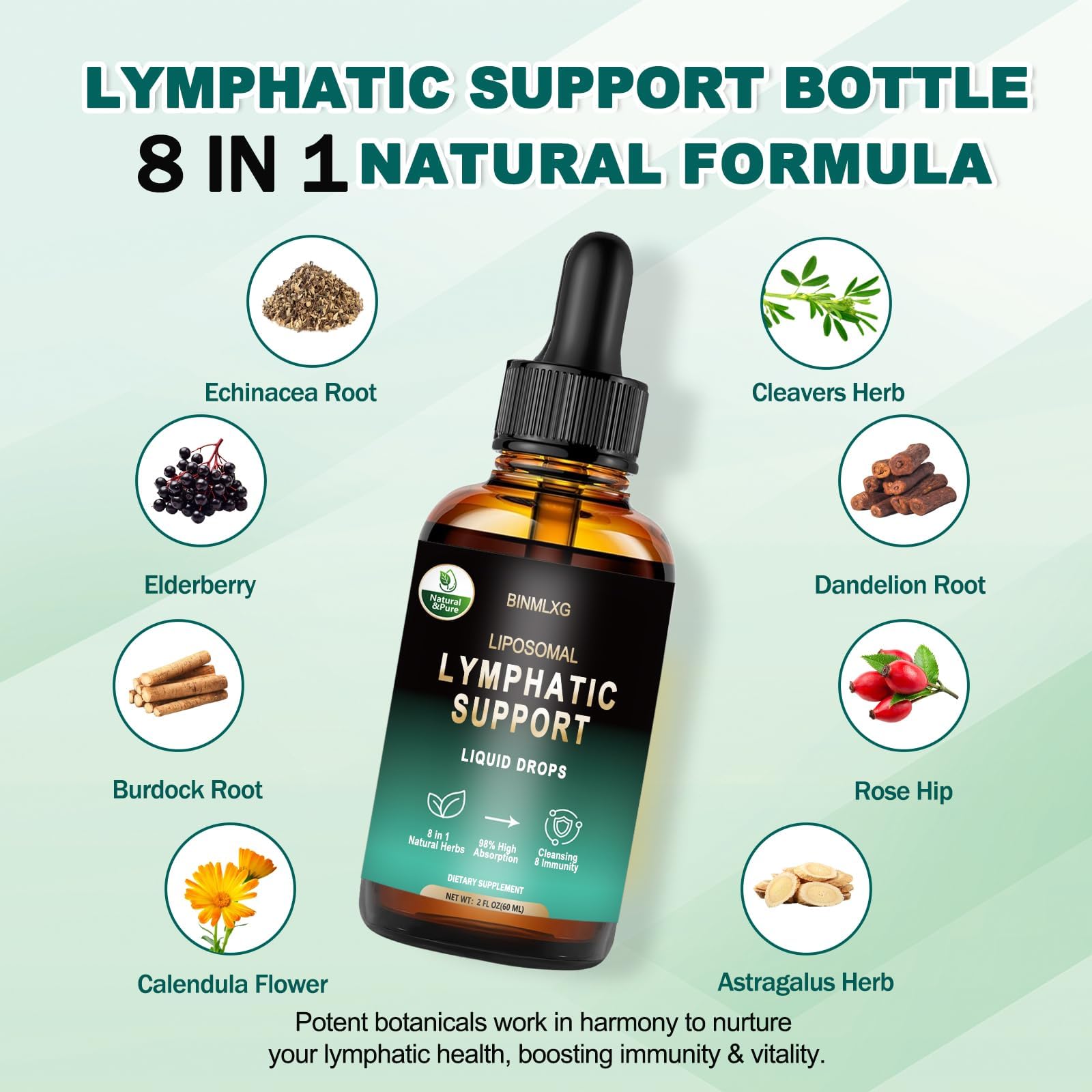 BINMLXG Liposomal Lymphatic Drainage Drops, 8-Herb Formula with Echinacea, Elderberry, Burdock Root Blend, for Lymphatic Drainage, Immune Support, Cleanse & Detox, 2 Fl Oz - Maple Wellness Supplements