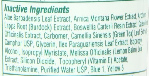 Bio Freeze Pain Relieving Gel, 4 Ounce, 12-Count - TrustMedUSA