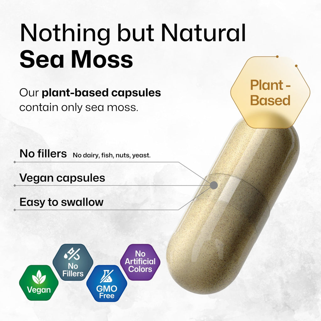 BIO KRAUTER® 2-in-1 Sea Moss for Thyroid Support - Vegan Bladderwrack & Sea Moss Capsules for Women & Men - Natural Сhondrus Сrispus Seaweed Supplement 1600 mg - 125 Days of Supply, Non-GMO - TrustMedUSA
