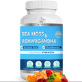 BIO VITALICA Sea Moss Ashwagandha Gummies - Organic Irish Seamoss & Ashwagandha Root Supplements for Supporting Energy for Men & Women, 60 Vegan Gummies - TrustMedUSA