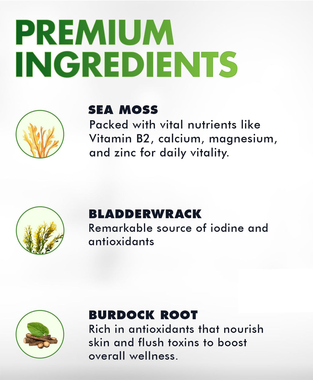 BIO VITALICA Sea Moss Gummies – with Bladderwrack & Burdock Root – Wildcrafted Gel + Powder – Vegan, Keto, Non-GMO, Gluten-Free – Fruity Mineral-Rich Gummies – 50 Count (3 Pack) - TrustMedUSA
