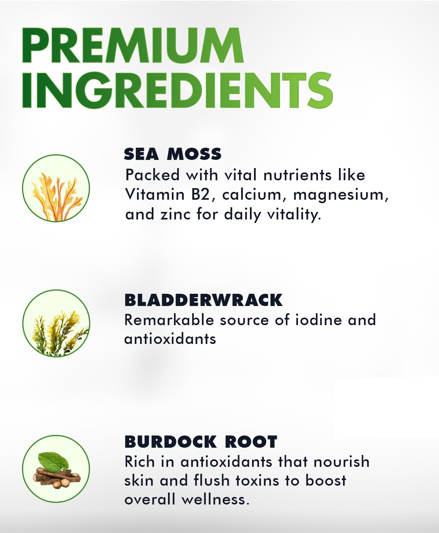 BIO VITALICA Sea Moss Gummies – with Bladderwrack & Burdock Root – Wildcrafted Gel + Powder – Vegan, Keto, Non-GMO, Gluten-Free – Fruity Mineral-Rich Gummies – 50 Count (3 Pack) - TrustMedUSA
