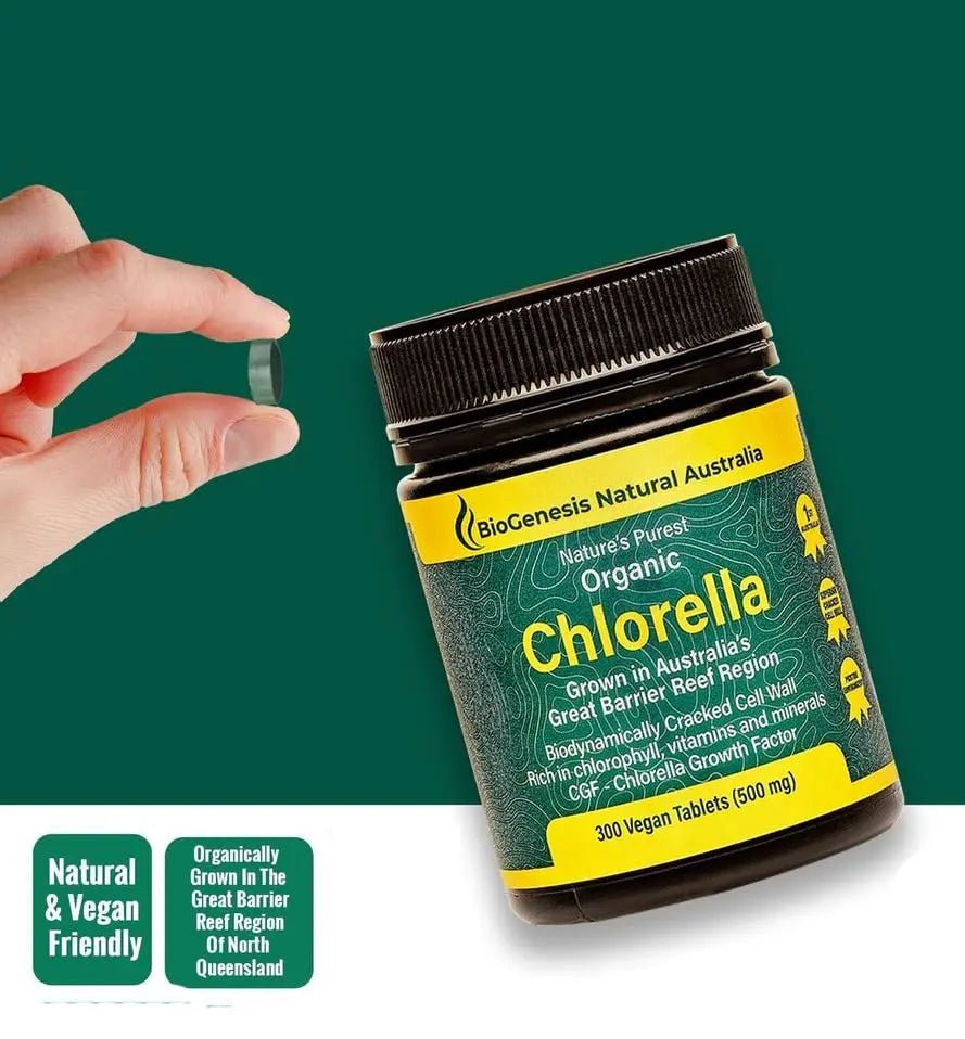 BioGenesis Chlorella Tablets, 600 Tablet Count (500mg) - TrustMedUSA