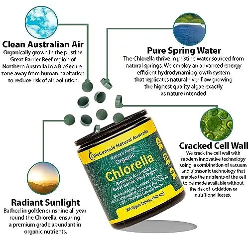 BioGenesis Chlorella Tablets, 600 Tablet Count (500mg) - TrustMedUSA