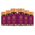 Biogetica Immunofree Herbal Supplement for Immune Support - Natural Potent Blend of Tulsi, Kalmegh, Yashtimadhu & Giloy for Immune Boost - 100% Vegan - 30 Tablets- Pack of 6 - TrustMedUSA