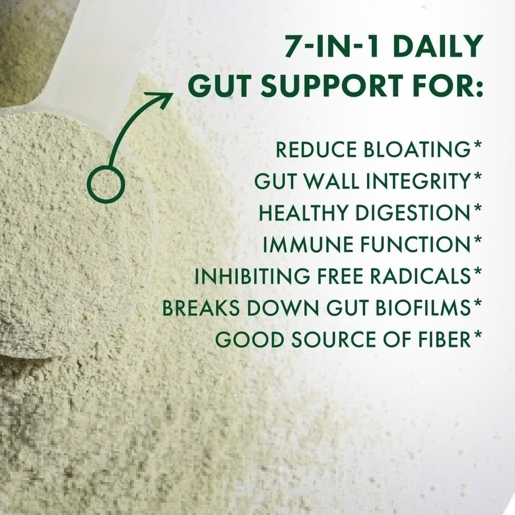 BIOHM Digestive Greens, Green Superfood Powder (7.4 Oz, 30 Servings) Immune & Gut Health Support with Antioxidants, Vitamins, Probiotics & Enzymes, Good Source of Fiber, Berry Flavor - TrustMedUSA