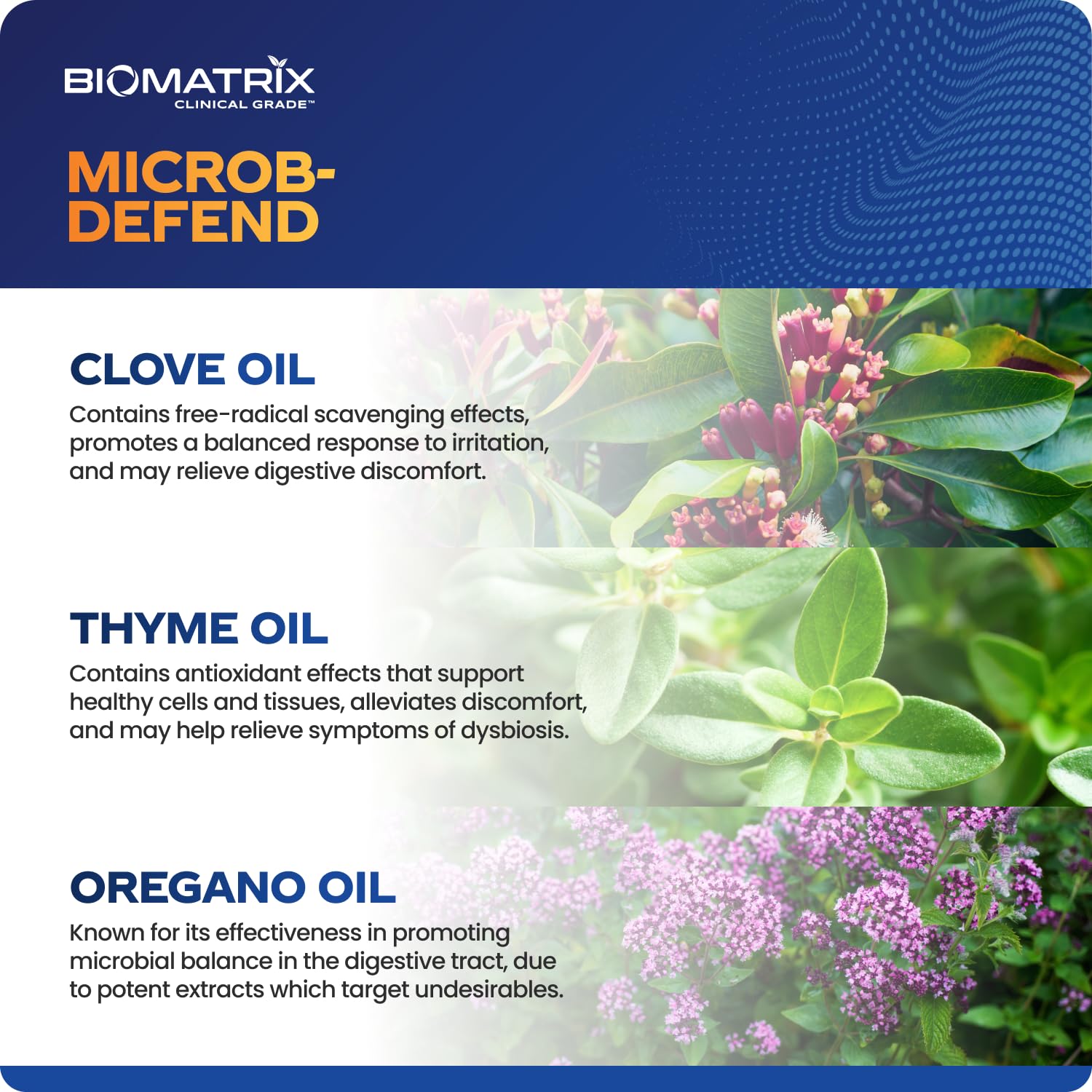 BioMatrix Biofilm Disruptor, GI Repair Digestive Supplement for Men and Women, Oil of Thyme, Oregano & Clove, Gut Microbiome & Intestinal Health Support | Microb-Defend (90 Softgels) - TrustMedUSA