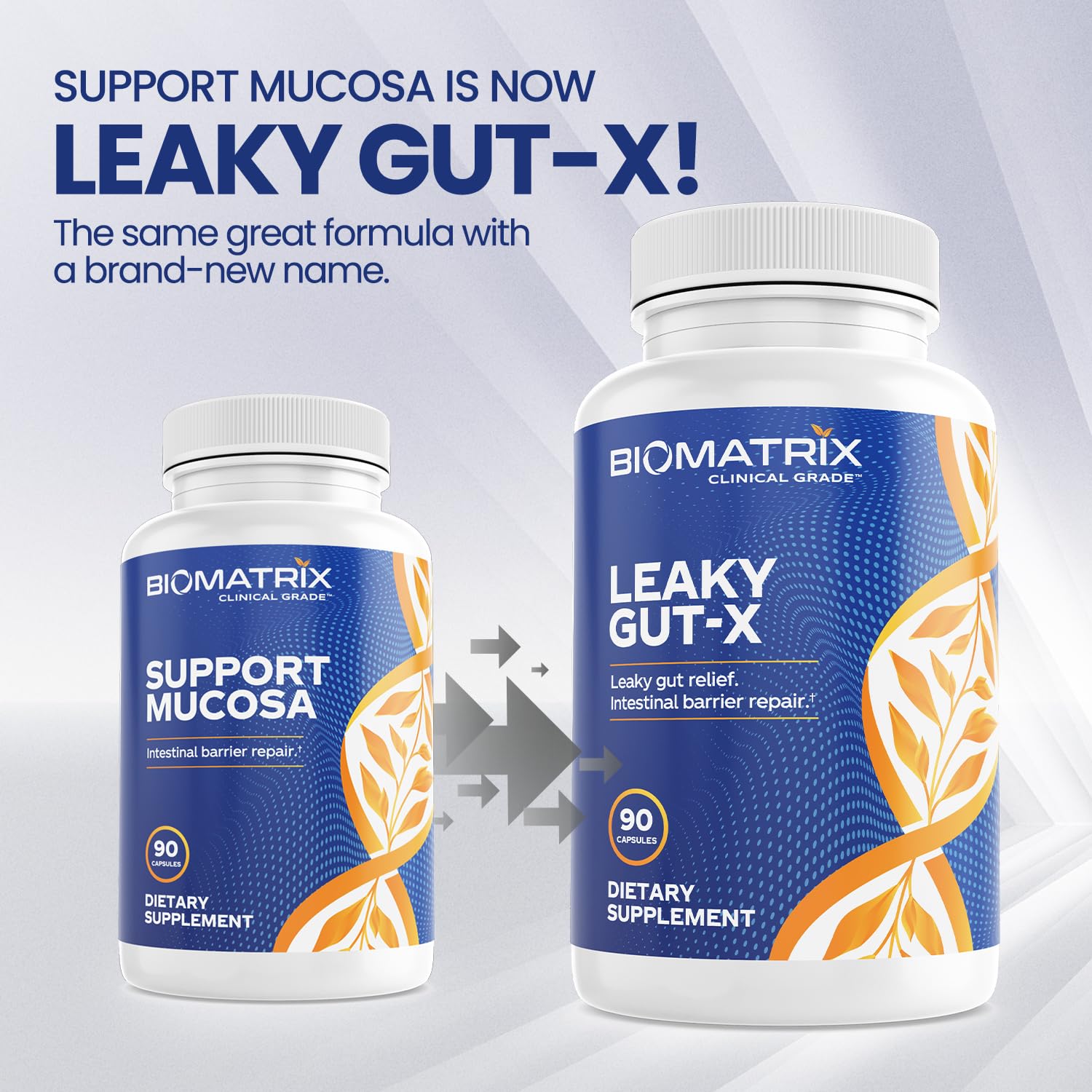 BioMatrix Leaky Gut Repair Supplement w/Glutamine, Quercetin, Cat's Claw, MSM, SIBO, Prebiotic Support, Intestinal Barrier Revive for Men and Women | 60-Day Supply – Leaky Gut-X - TrustMedUSA
