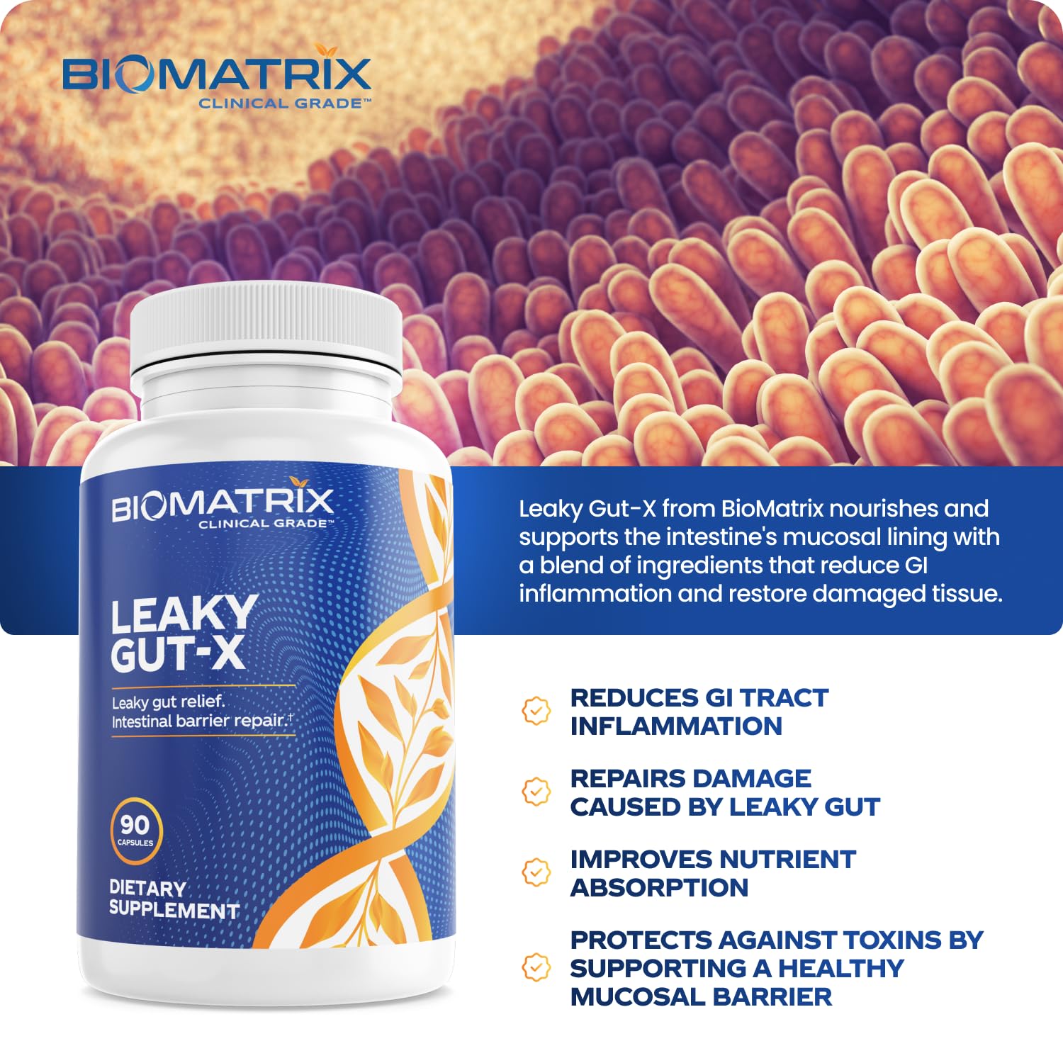 BioMatrix Leaky Gut Repair Supplement w/Glutamine, Quercetin, Cat's Claw, MSM, SIBO, Prebiotic Support, Intestinal Barrier Revive for Men and Women | 60-Day Supply – Leaky Gut-X - TrustMedUSA