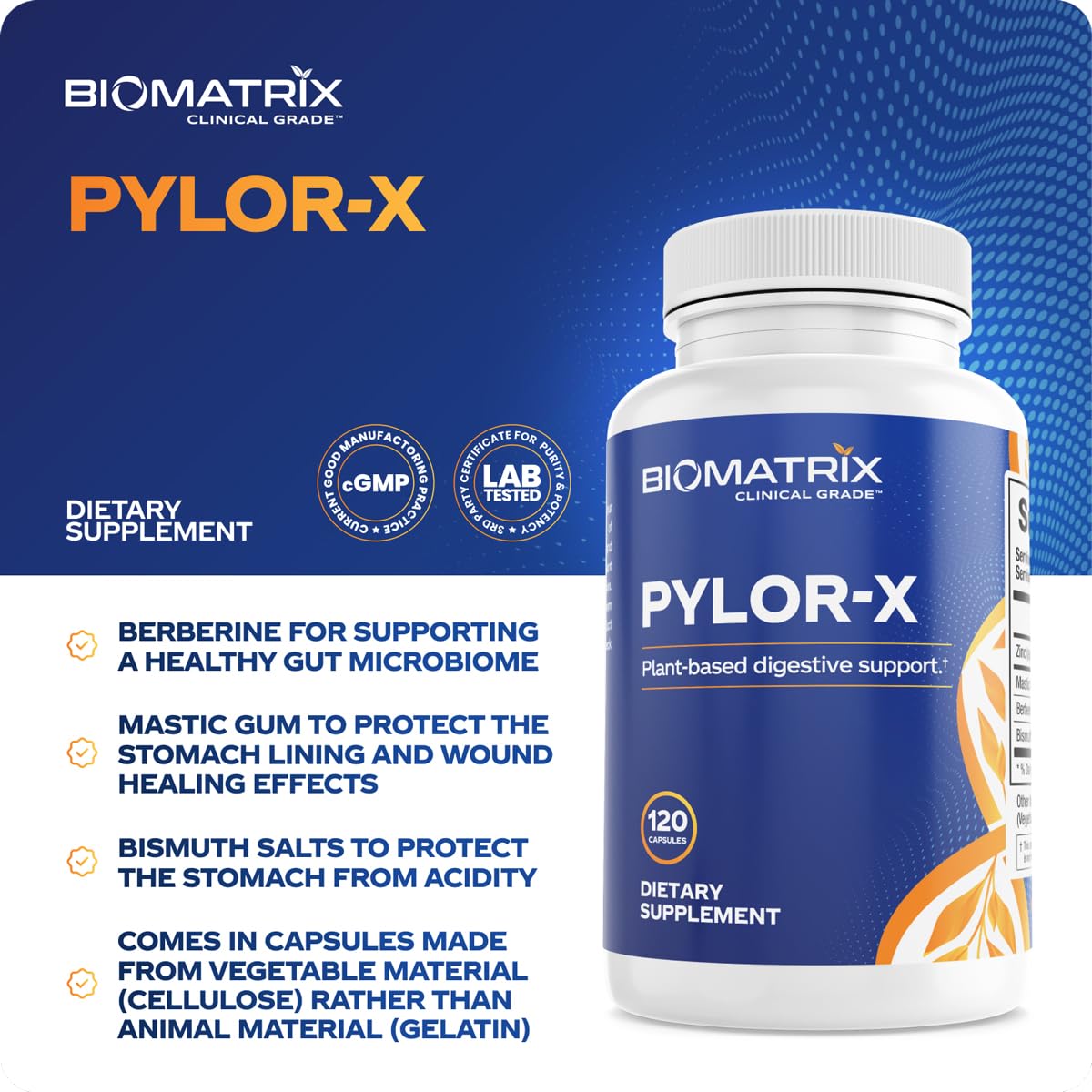 BioMatrix Pylor-X Gut Health Supplement – Mastic Gum, Berberine, Zinc Carnosine & Bismuth Salts for Gastric Support, Digestive Comfort, Stomach Lining Protection - (120 Capsules) 30-60 Day Supply - TrustMedUSA