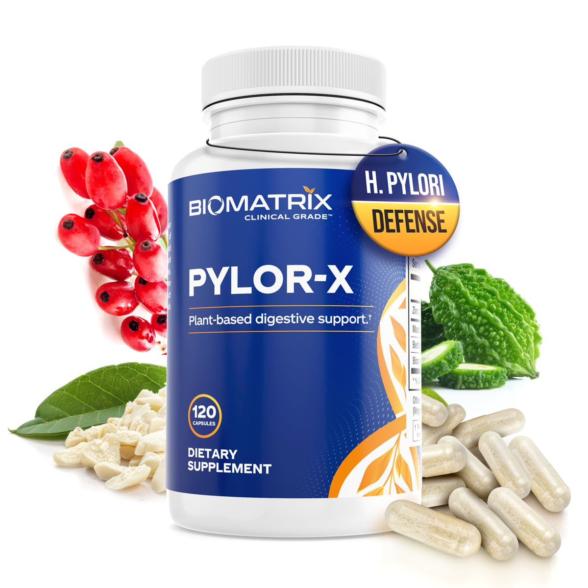 BioMatrix Pylor-X Gut Health Supplement – Mastic Gum, Berberine, Zinc Carnosine & Bismuth Salts for Gastric Support, Digestive Comfort, Stomach Lining Protection - (120 Capsules) 30-60 Day Supply - TrustMedUSA