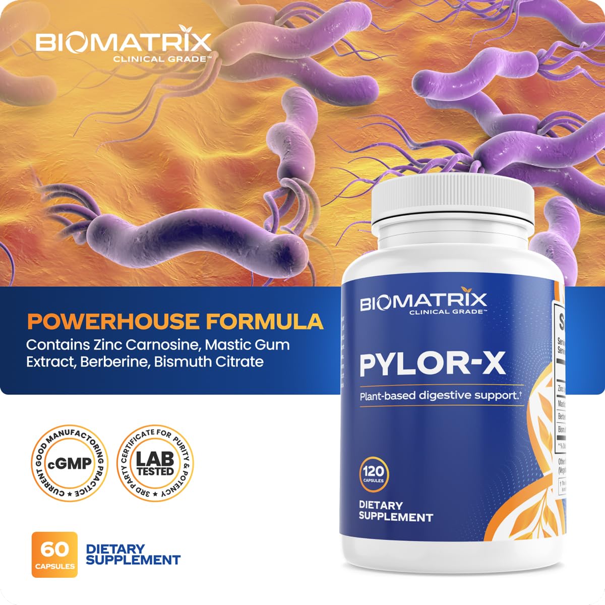BioMatrix Pylor-X Gut Health Supplement – Mastic Gum, Berberine, Zinc Carnosine & Bismuth Salts for Gastric Support, Digestive Comfort, Stomach Lining Protection - (120 Capsules) 30-60 Day Supply - TrustMedUSA