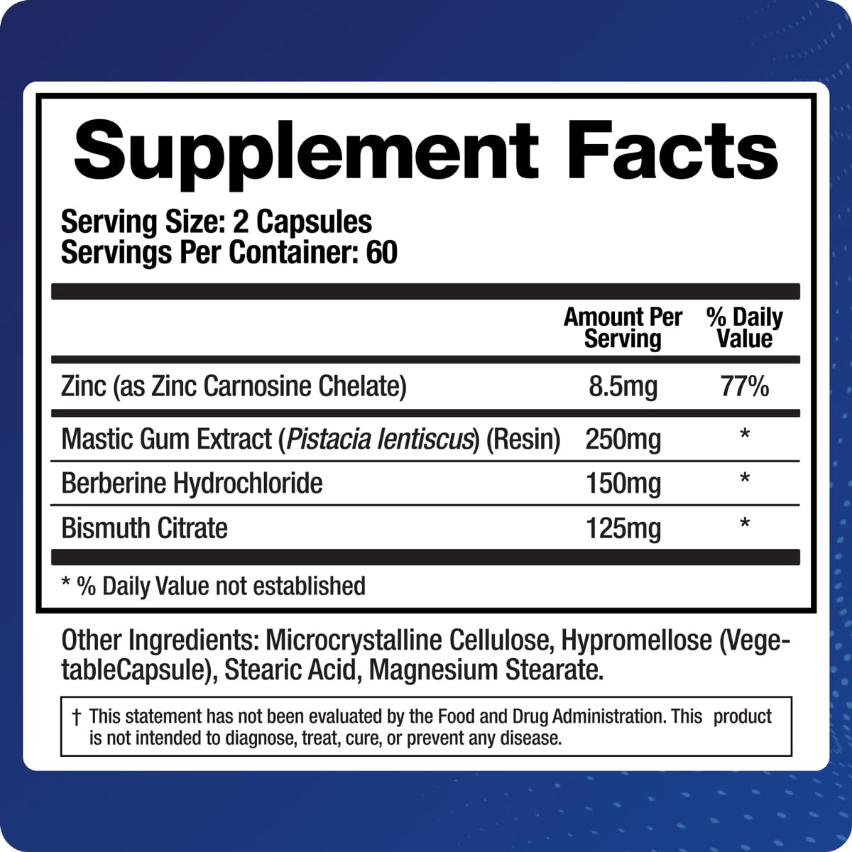 BioMatrix Pylor-X Gut Health Supplement – Mastic Gum, Berberine, Zinc Carnosine & Bismuth Salts for Gastric Support, Digestive Comfort, Stomach Lining Protection - (120 Capsules) 30-60 Day Supply - TrustMedUSA