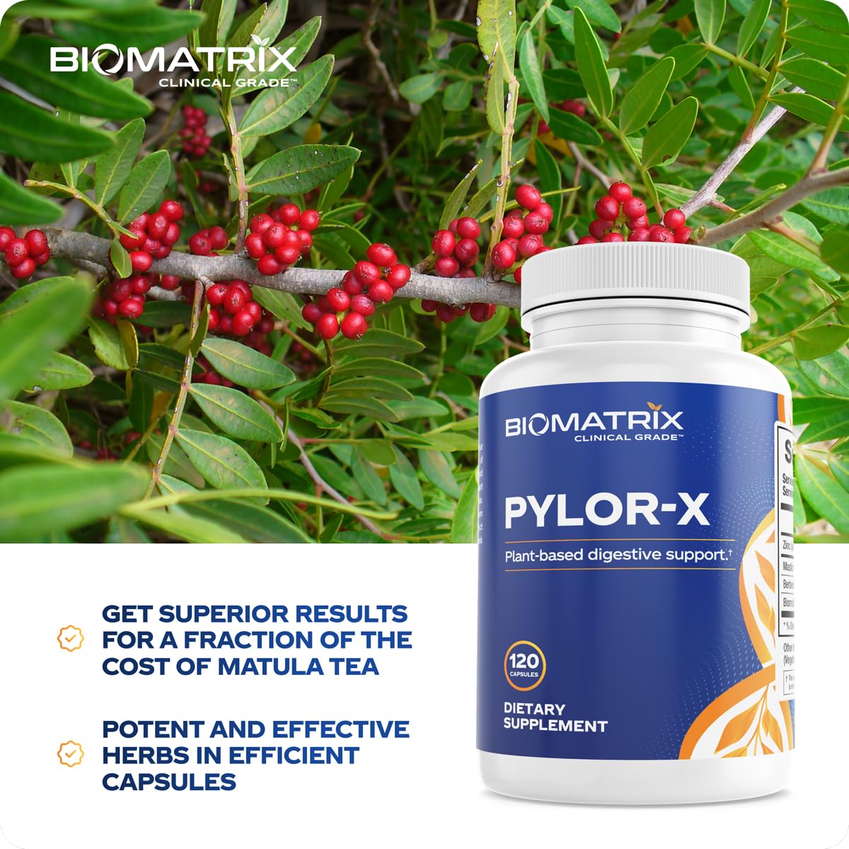 BioMatrix Pylor-X Gut Health Supplement – Mastic Gum, Berberine, Zinc Carnosine & Bismuth Salts for Gastric Support, Digestive Comfort, Stomach Lining Protection - (120 Capsules) 30-60 Day Supply - TrustMedUSA