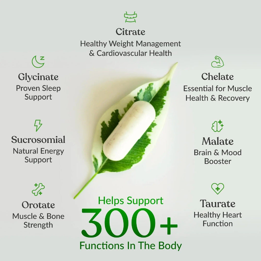 BIOptimizers Magnesium Breakthrough Supplement with 500mg - 7 Forms of Magnesium: Glycinate, Malate, Citrate, and More - Natural Support for Sleep and Cognitive Function -90 Capsules- Calming Vitamins - TrustMedUSA