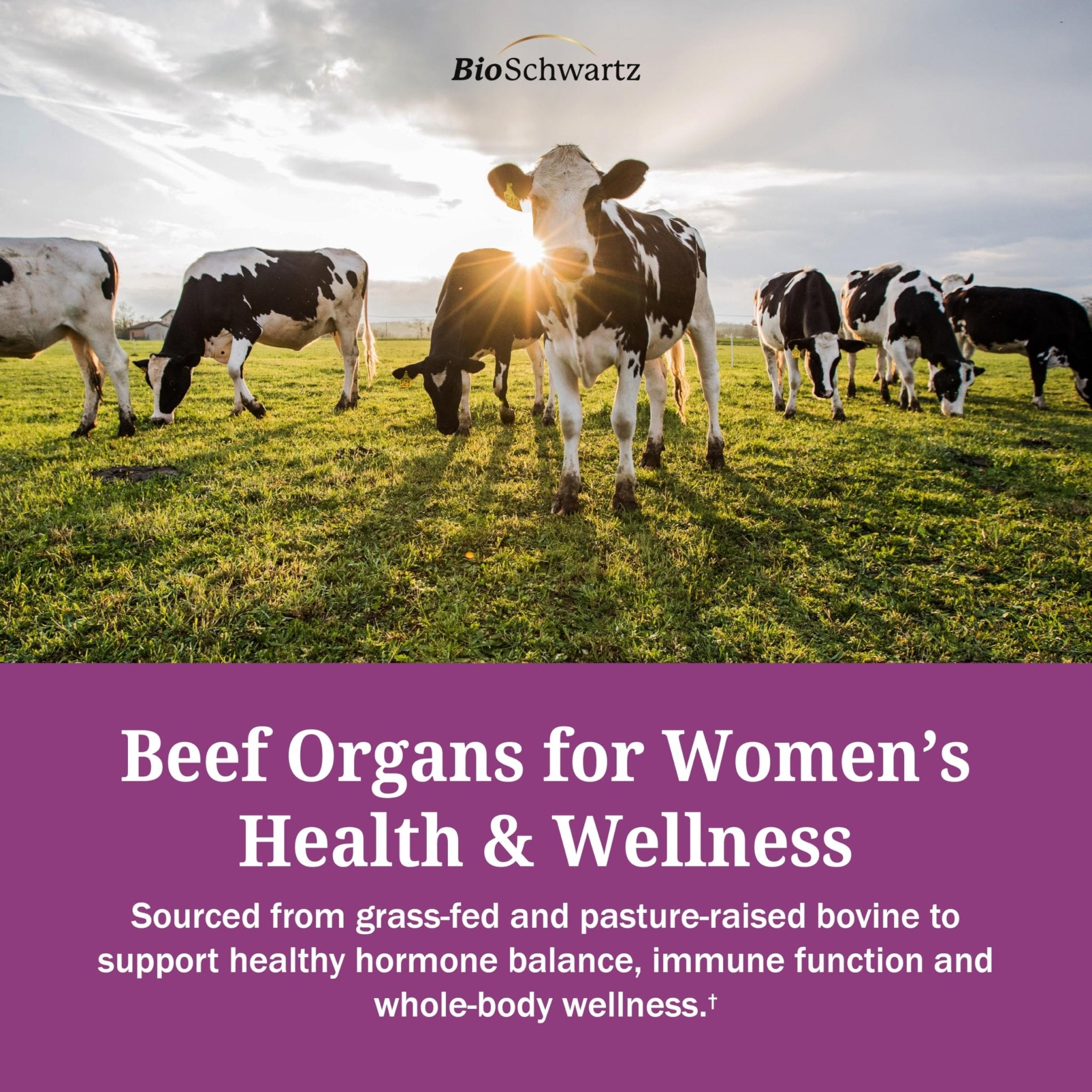 BioSchwartz Primal Beef Organ Supplement for Women - 60 Capsules - Grass-Fed & Pasture-Raised - Supports Healthy Hair Skin and Nails, Hormone Balance - with Bovine Liver, Kidney, Heart, Uterus Powder - TrustMedUSA