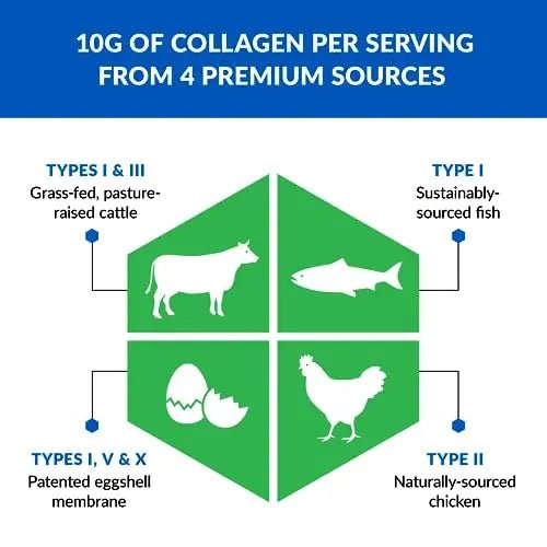BioTrust Ageless Multi Collagen Peptides Powder – 5 Types (I, II, III, V, X) – Fruit Punch - TrustMedUSA