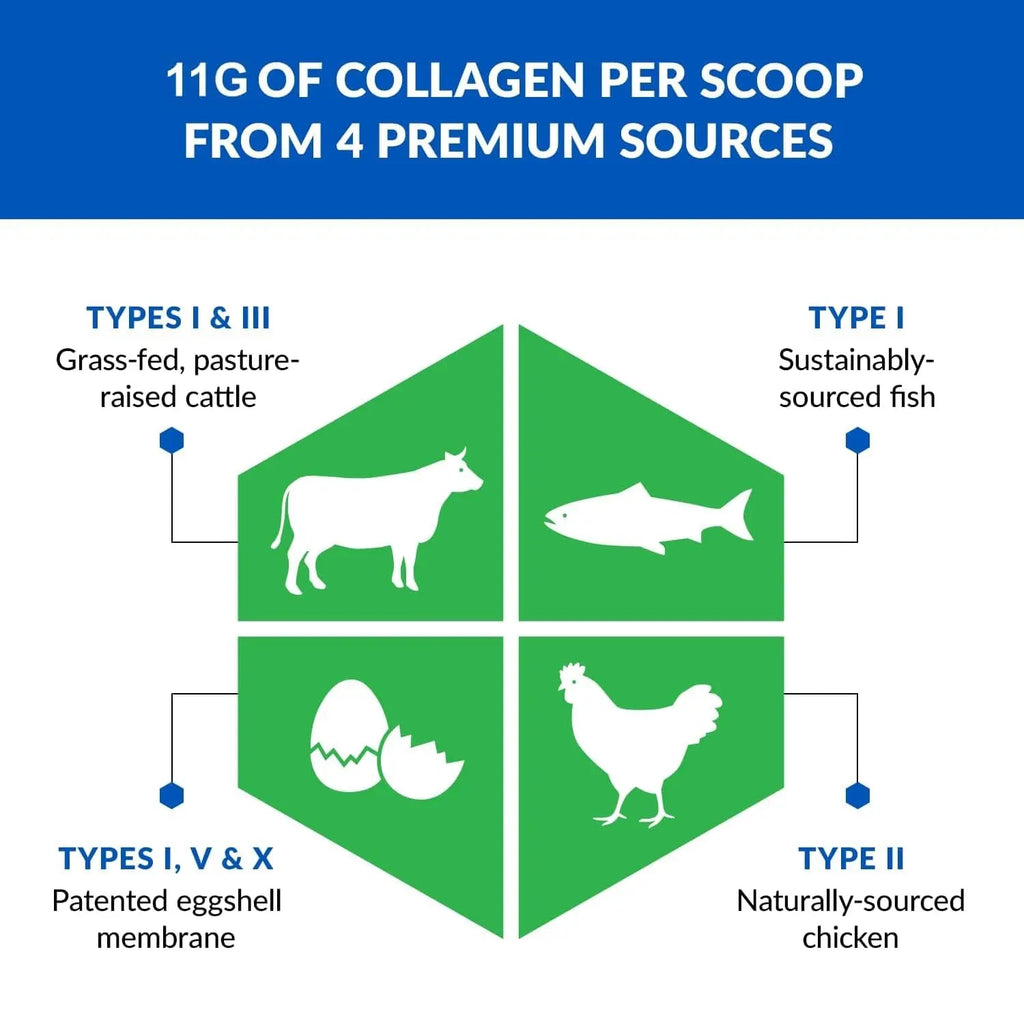 BioTrust Ageless Multi Collagen Peptides Powder - 5 Types (I, II, III, V, X) - Unflavored Collagen Powder for Women & Men - Hydrolyzed Protein - TrustMedUSA