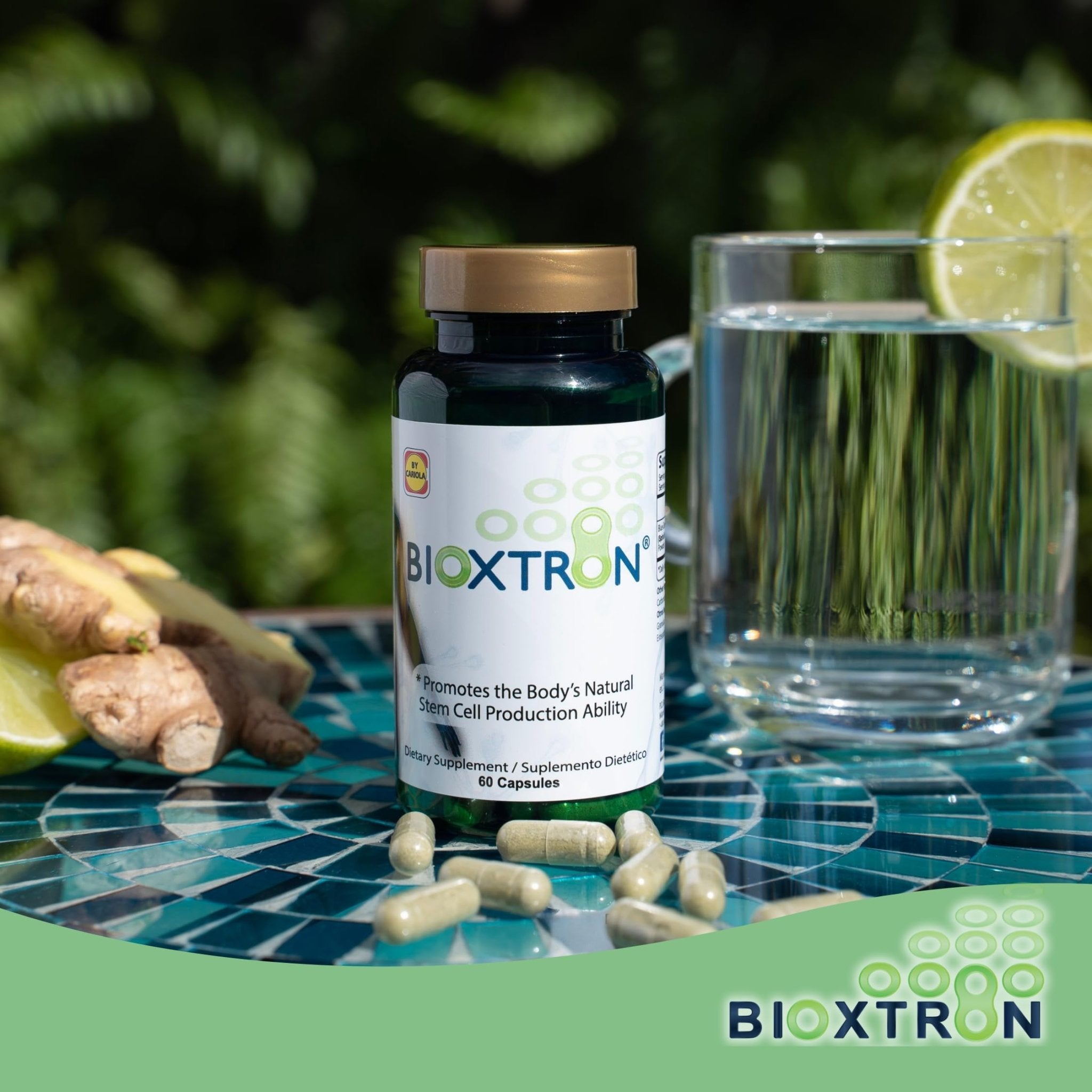 Bioxtron Natural AFA Stem Cell Supplement - Joint Support & Muscle Pain - Immune System Support - Support Energy Levels - Natural Blue Green Algae Spirulina - Pack of 2-120 Caps - TrustMedUSA
