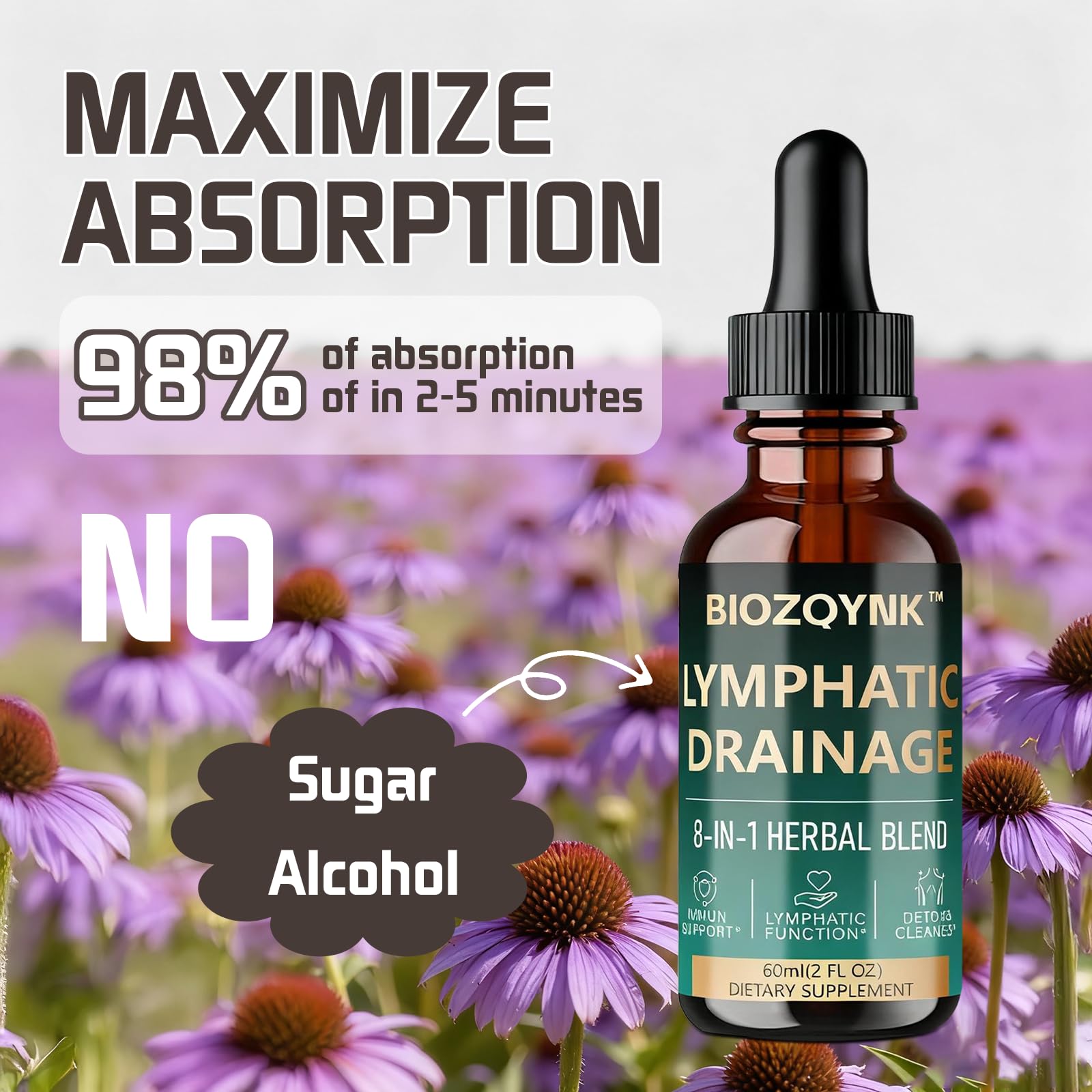 BIOZQYNK Lymphatic Drainage Liquid Drops – Herbal Extracts & Botanicals for Circulation, Immune & Detox Support – Alcohol-Free, Vegan (2 fl oz) - Maple Wellness Supplements