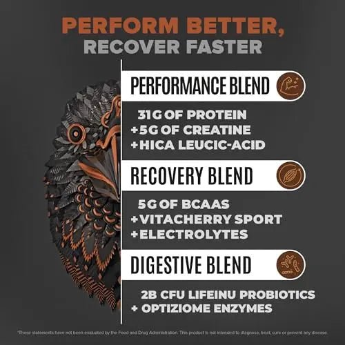 Birdman Falcon Performance Vegan Protein Powder, 31g Protein, 5g Creatine, 5g BCAA - TrustMedUSA