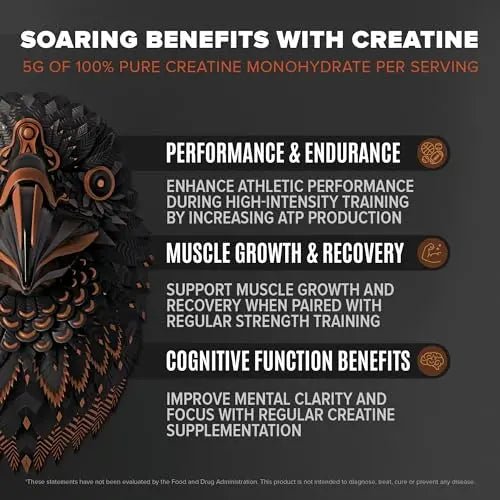 Birdman Falcon Performance Vegan Protein Powder, 31g Protein, 5g Creatine, 5g BCAA - TrustMedUSA