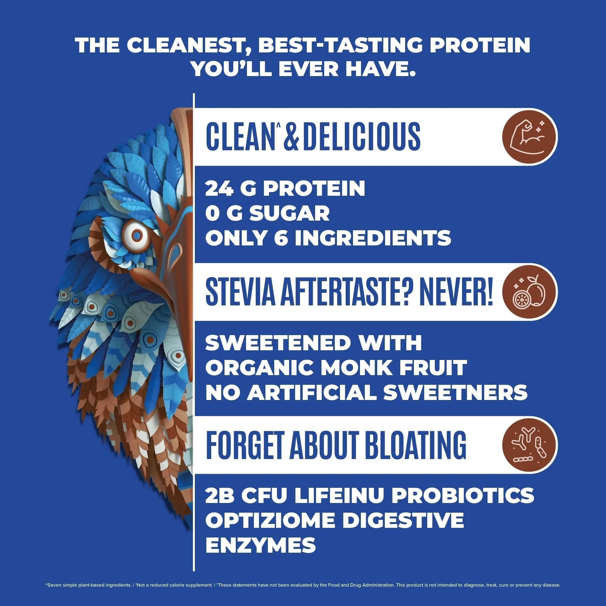 BIRDMAN Falcon Vegan Protein Powder Organic, Stevia & Sugar Free, Plant Based Protein - TrustMedUSA