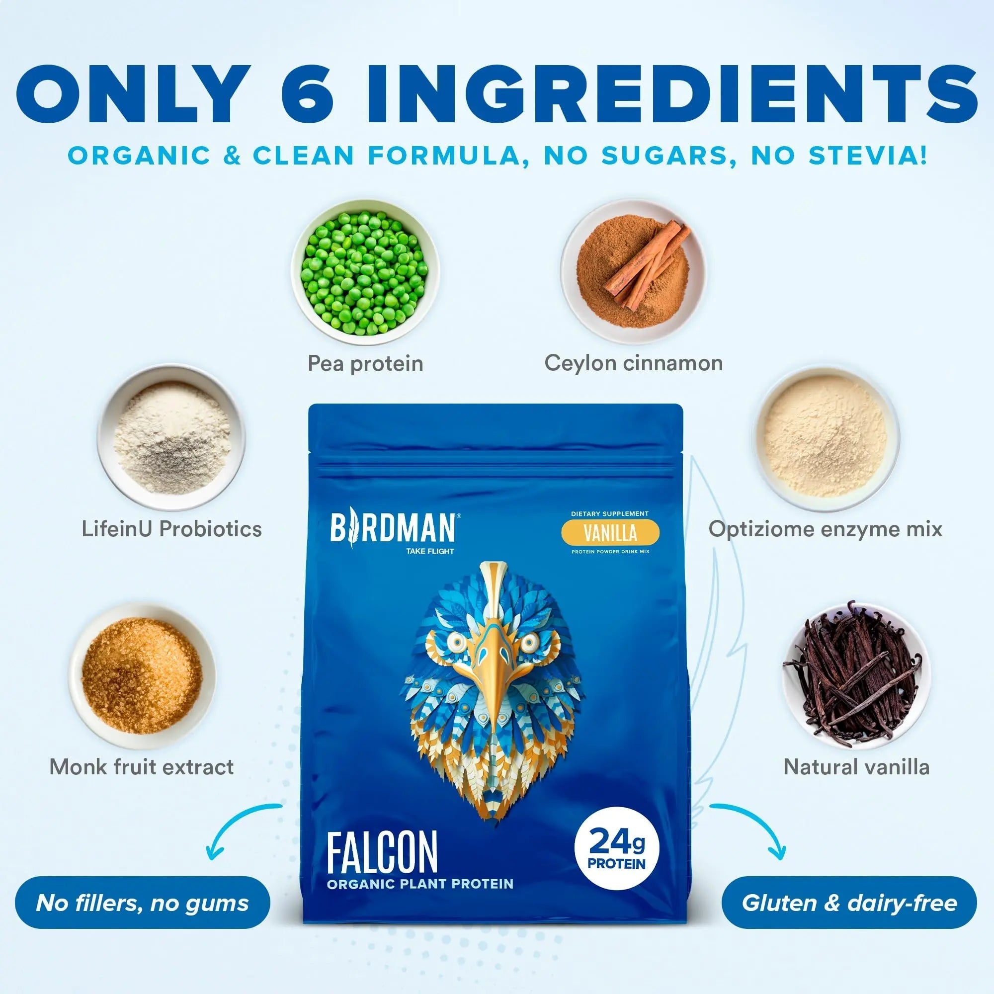 BIRDMAN Falcon Vegan Protein Powder Organic, Stevia & Sugar Free, Plant Based Protein - TrustMedUSA