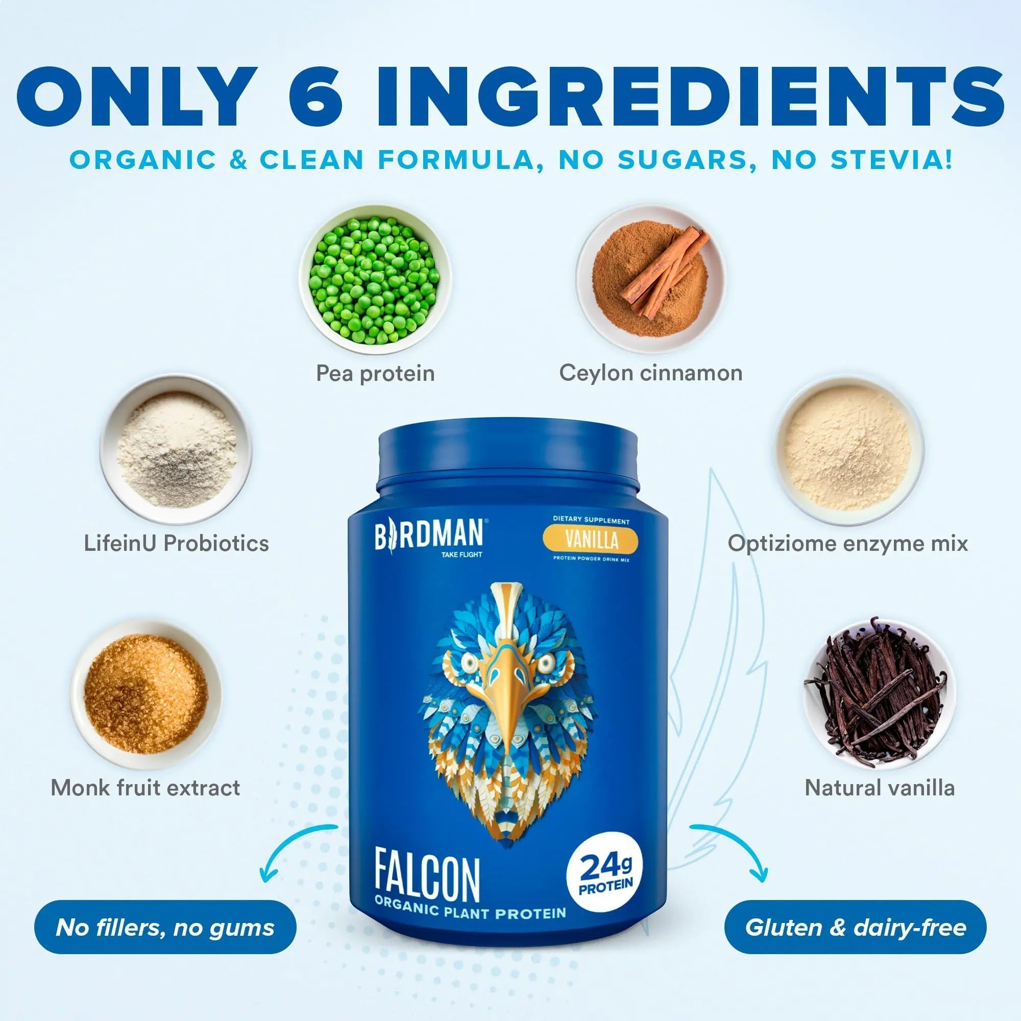 BIRDMAN Falcon Vegan Protein Powder Organic, Stevia & Sugar Free, Plant Based Protein - TrustMedUSA