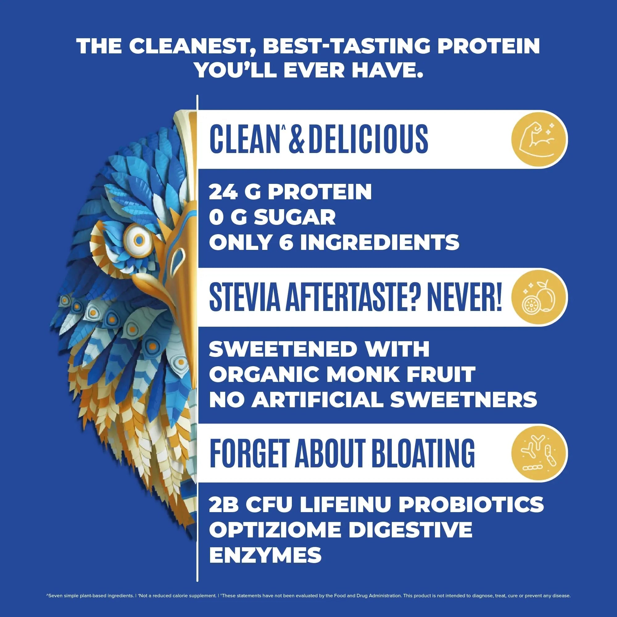 BIRDMAN Falcon Vegan Protein Powder Organic, Stevia & Sugar Free, Plant Based Protein - TrustMedUSA