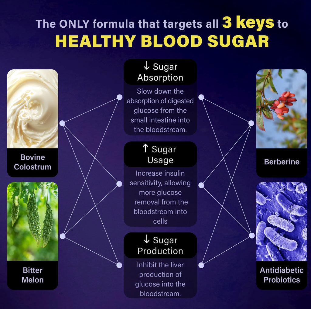 Blood Sugar Support Colostrum Supplement w/ Bitter Melon, Probiotics Blend w/ Akkermansia & Prebiotic Berberine | For Healthy Blood Glucose, Metabolism, Gut & Immunity | 90 Delayed Release Vegan Caps - TrustMedUSA