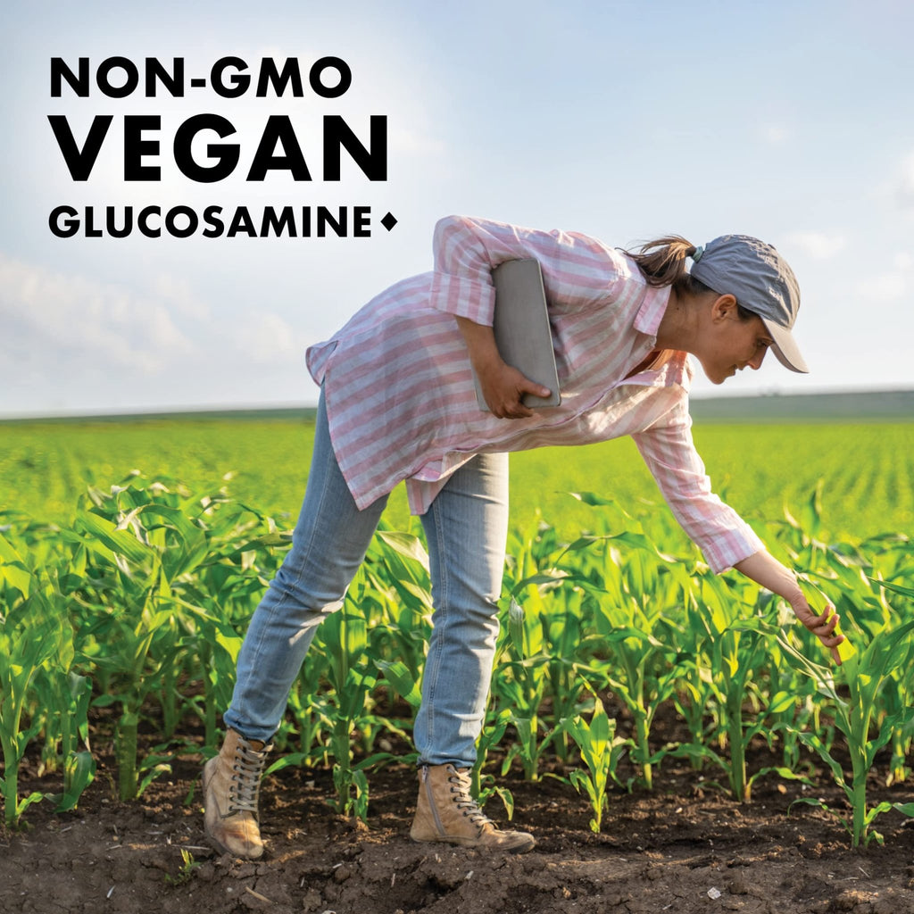 BlueBonnet Vegetarian Glucosamine Plus MSM Supplement, 120 Count ('743715011151) - TrustMedUSA