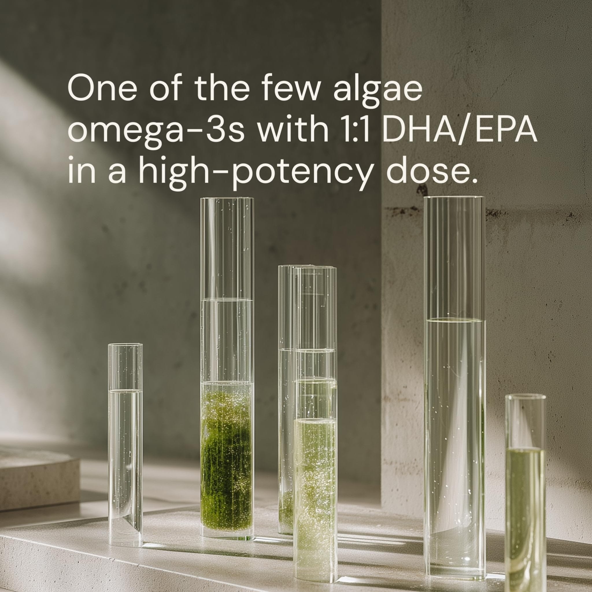 Blueprint Bryan Johnson Omega-3 - Vegan Algae Omega 3 Supplement with EPA/DHA - 800mg Plant-Based for Brain, Heart & Joint Support - High Absorption Triglyceride Form - 1:1 EPA/DHA - TrustMedUSA