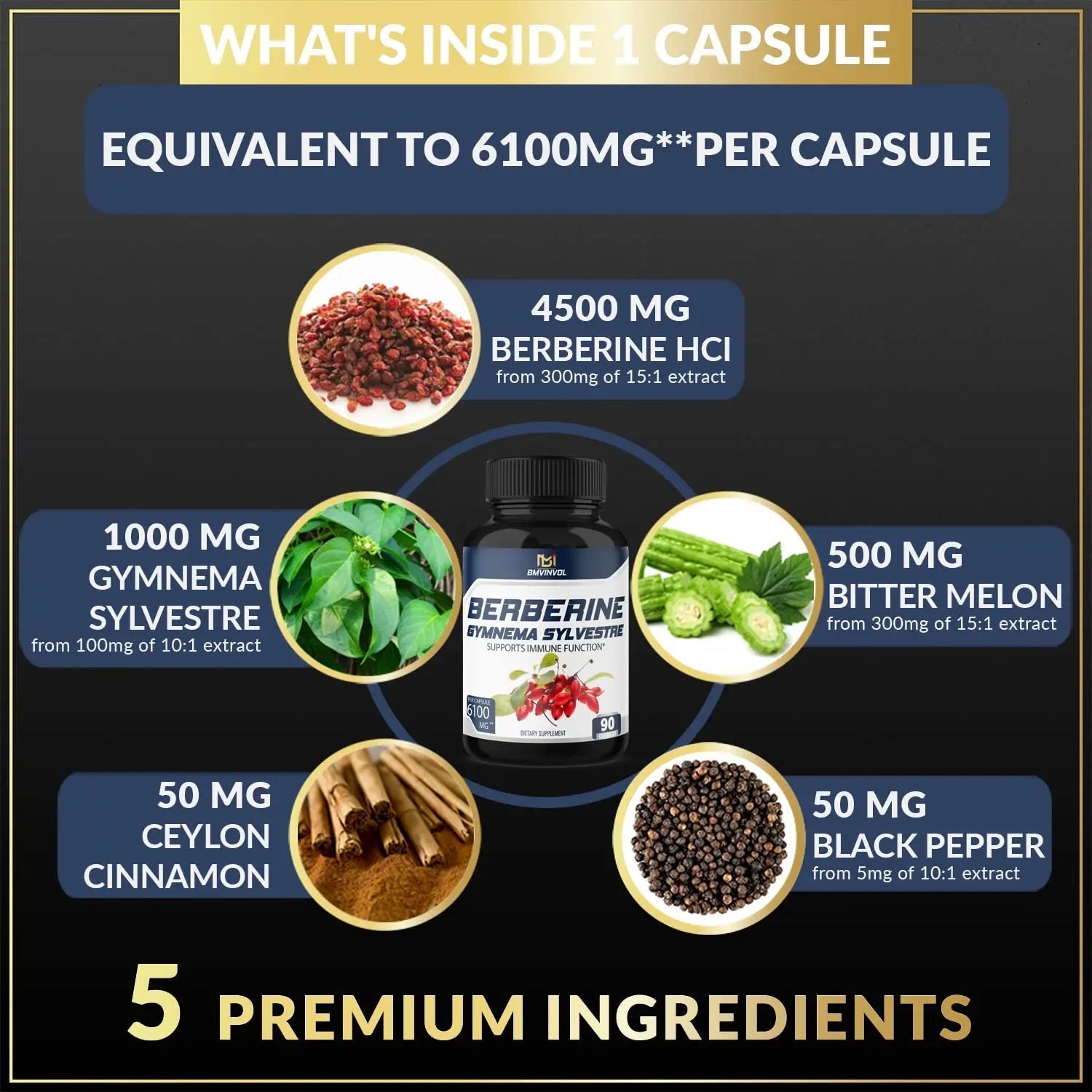 BMVINVOL 5-in-1 Berberine Supplement 6100mg with Ceylon Cinnamon, Gymnema - TrustMedUSA