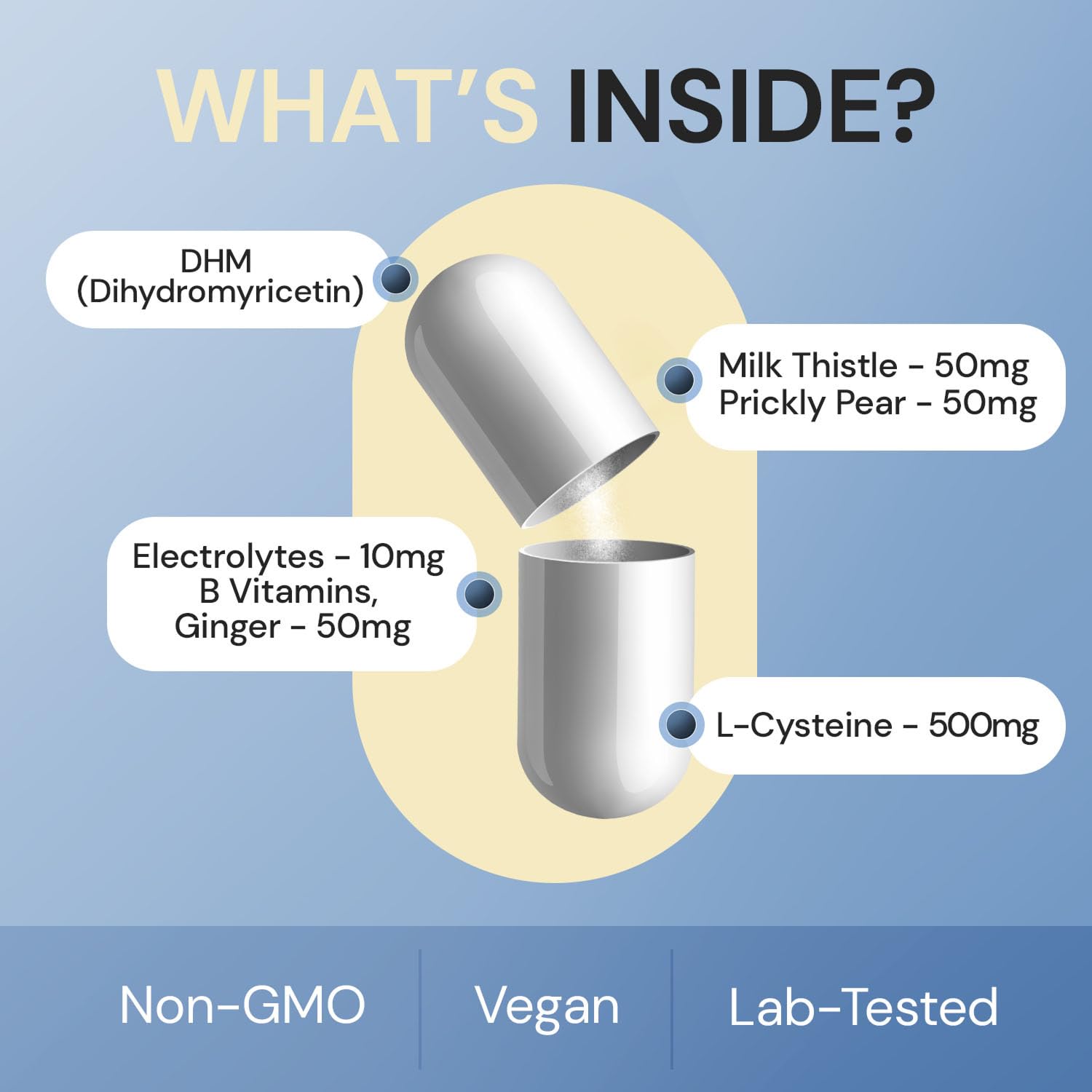 Body C.E.O. After Drinking Aid - Electrolyte Balance & Recovery - DHM (Dihydromyricetin), L-Cysteine, Prickly Pear, Milk Thistle, Zinger, Vitamin-B for Recovery - Filler-Free Formula - 60 Capsules - Maple Wellness Supplements