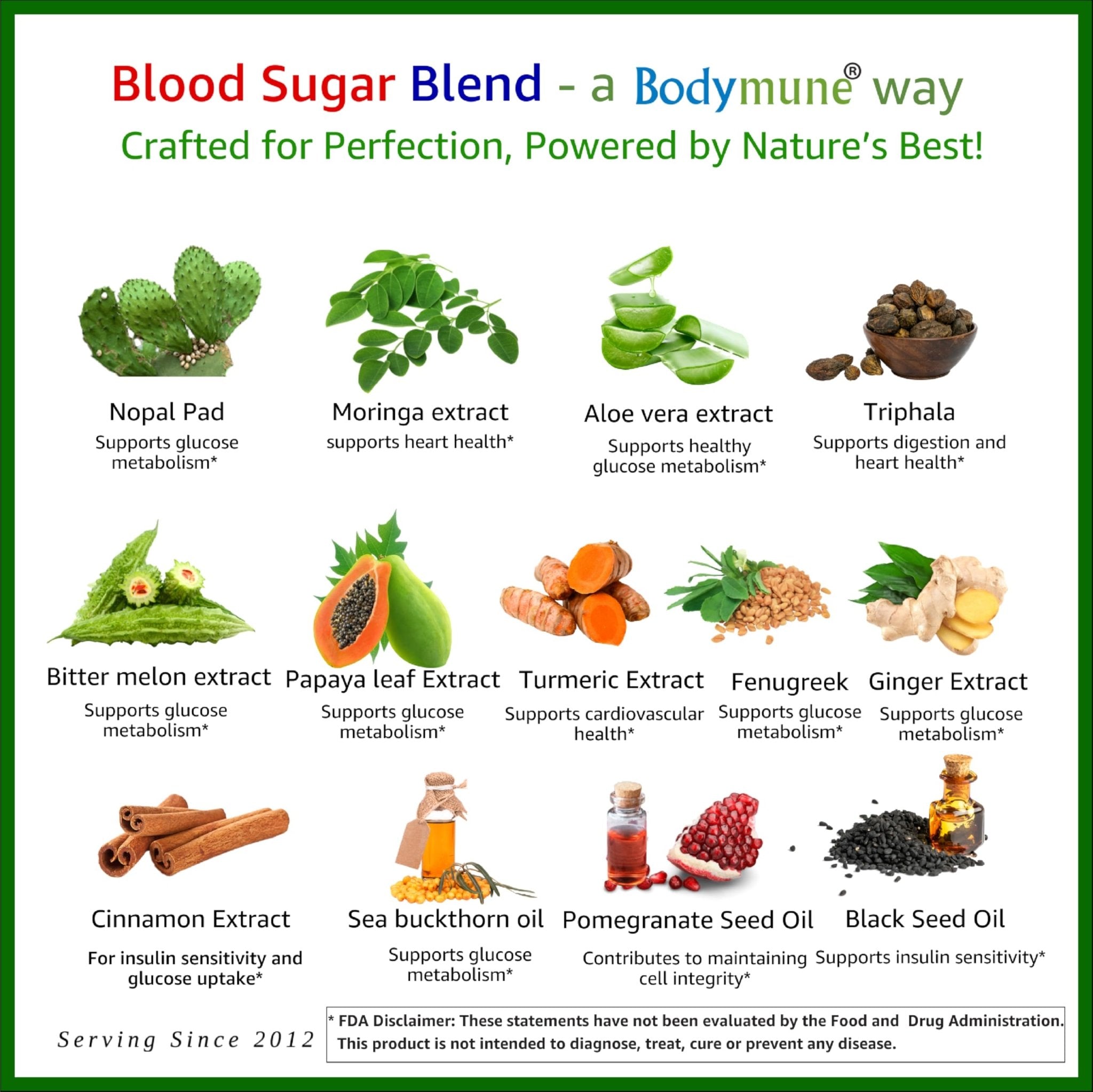 Bodymune USDA Organic Blood Sugar Blend | Supports Healthy Metabolism* | with Bitter Melon, Moringa, Aloe Vera, Nopal, Papaya Extracts & More | 60-Day Supply | Vegan & Non-GMO | USA-Made - TrustMedUSA