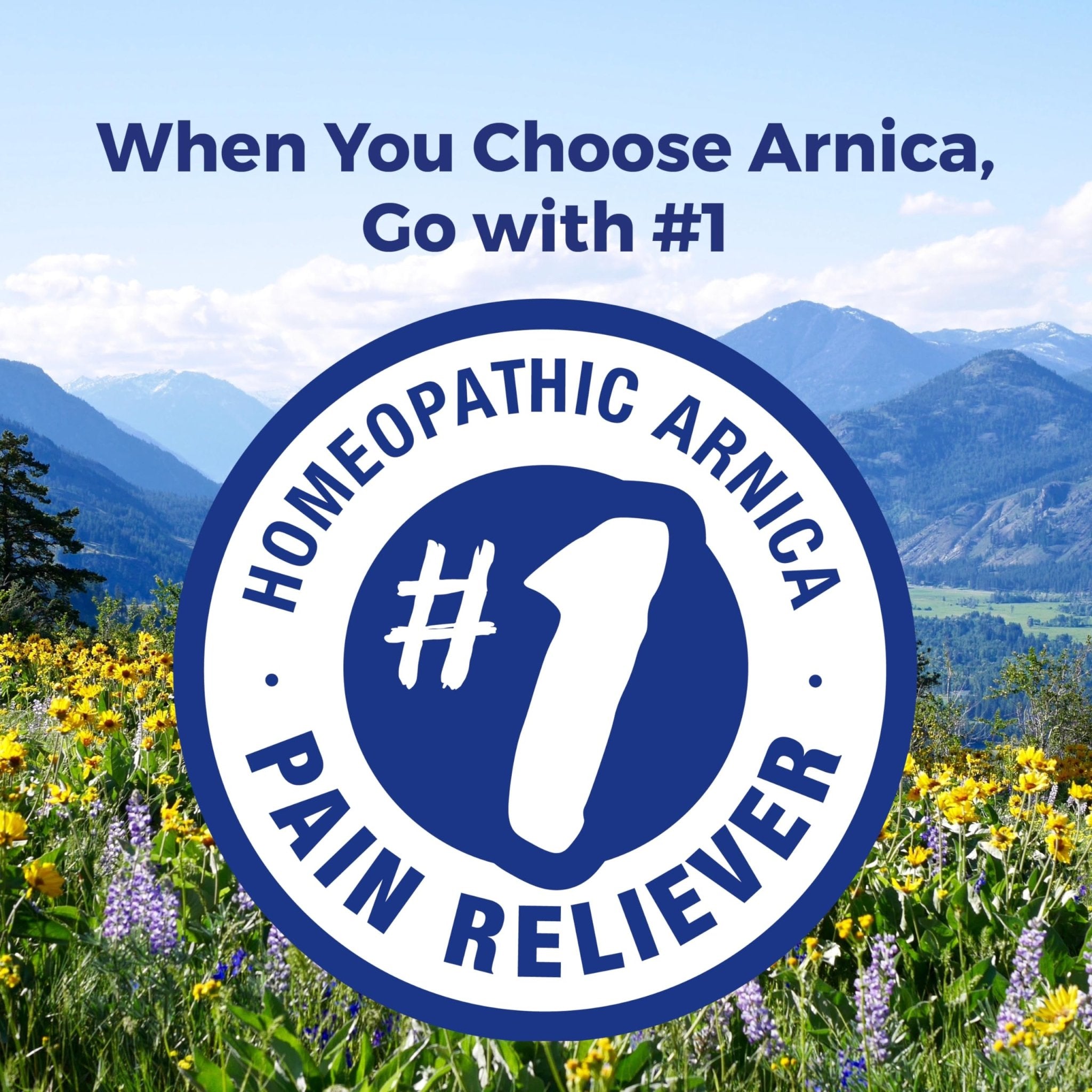 Boiron Arnica Montana 30X Homeopathic Medicine for Relief from Muscle Pain, Muscle Stiffness, Swelling from Injury, and Discoloration from Bruises - 3 Count (240 Pellets) - TrustMedUSA