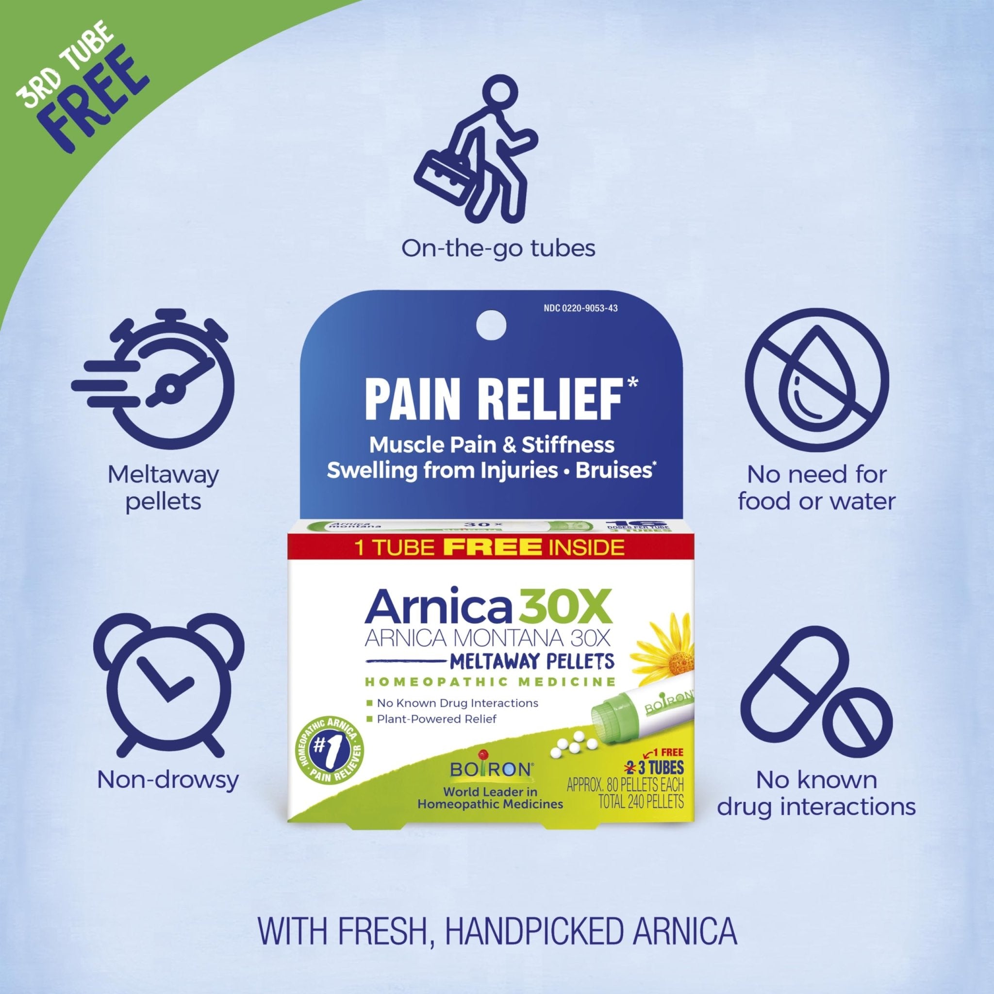 Boiron Arnica Montana 30X Homeopathic Medicine for Relief from Muscle Pain, Muscle Stiffness, Swelling from Injury, and Discoloration from Bruises - 3 Count (240 Pellets) - TrustMedUSA
