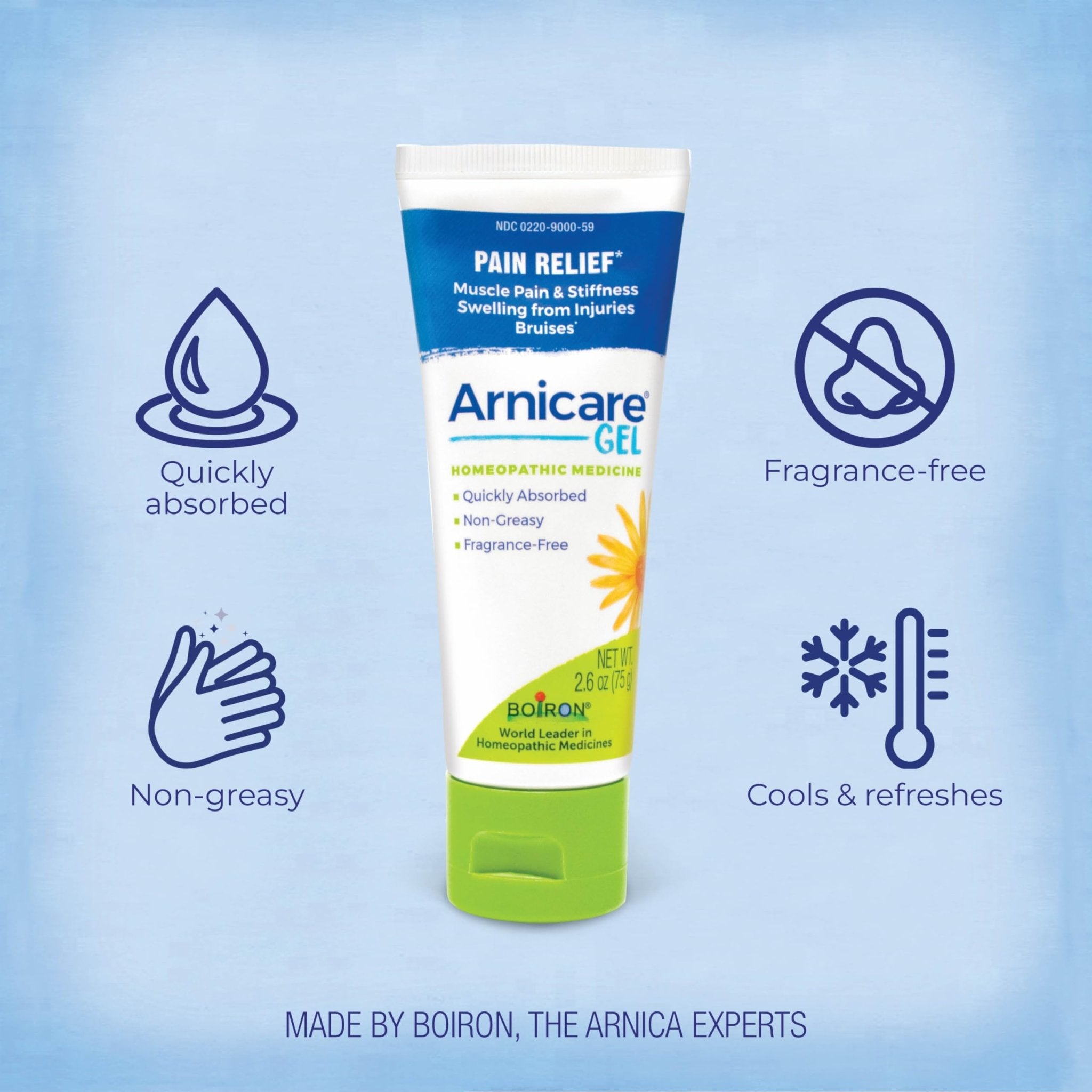Boiron Arnicare Gel for Joint Pain, Muscle Pain, Swelling, Soreness, and Stiffness - Non-greasy and Fragrance-Free - 2.6 oz - TrustMedUSA