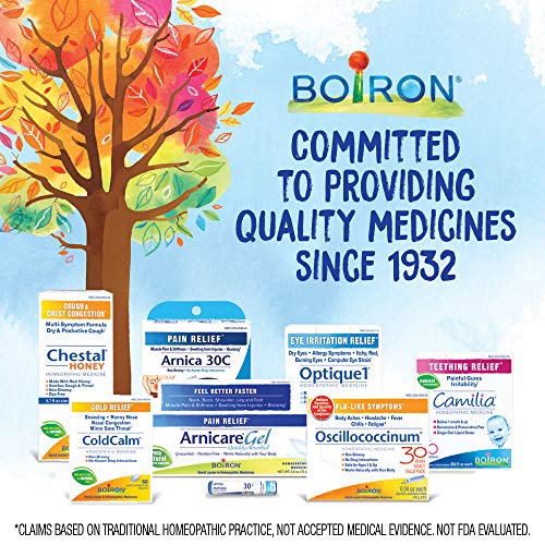 Boiron Bryonia 6X Homeopathic Medicine for Muscle & Joint Pain - 80 Pellets - TrustMedUSA